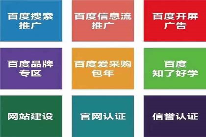 搜索引擎营销（SEM）成功案例详解